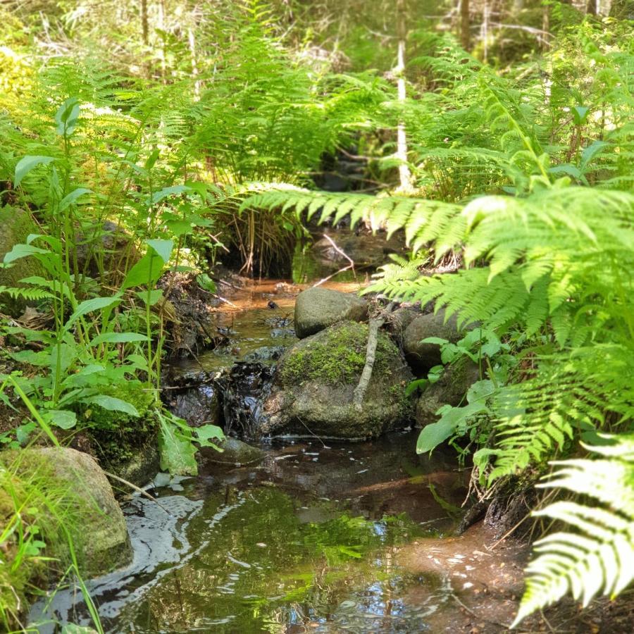 Cabin Near Lake And Beautiful Nature Reserve. Bodafors Екстериор снимка
