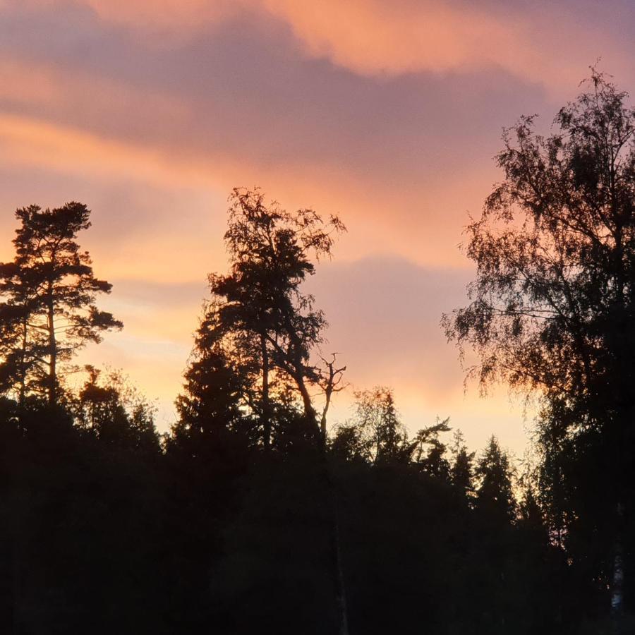 Cabin Near Lake And Beautiful Nature Reserve. Bodafors Екстериор снимка
