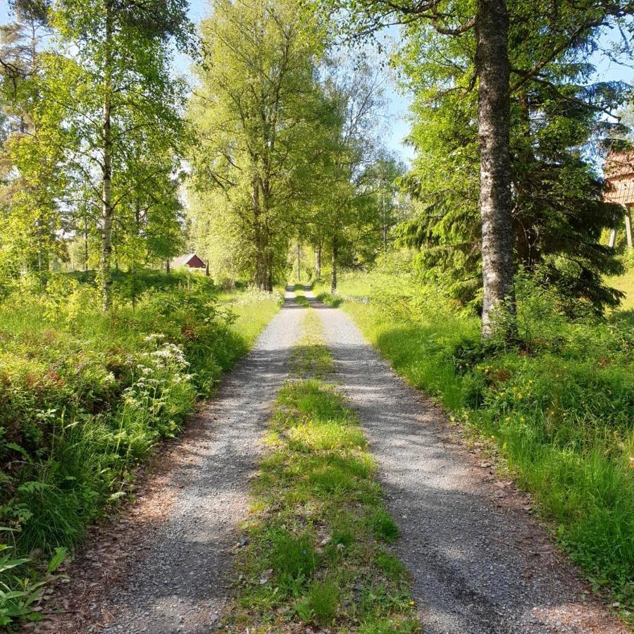 Cabin Near Lake And Beautiful Nature Reserve. Bodafors Екстериор снимка